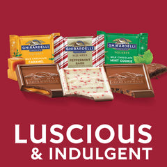 Assorted Holiday Chocolate SQUARES Large Bag (Case of 12)