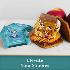 Milk Chocolate Sea Salt Caramel SQUARES Case Pack (430 ct)