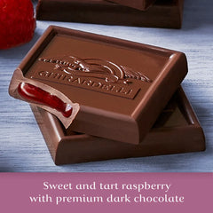 Dark Chocolate Raspberry SQUARES Case Pack (430 ct)